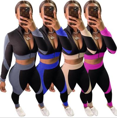 Sexy Knitting Contrast Zipper V-Neck Cropped Top With Trousers Two Piece Sets YL8054