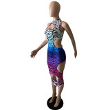 Fashion sexy gradient leopard print hole dress GH029