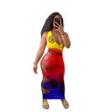 Fashionable sexy hole dress with dollar print GH038