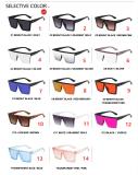 Large frame one-piece sunglasses KD6979