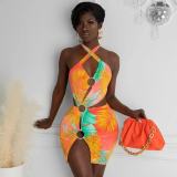 Swimsuit colorful print dress D8448