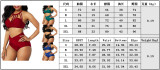 Front cross bikini split suit B9277