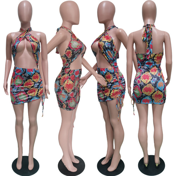 Sexy Halter Swimsuit Elastic Band Dress BN150