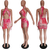 Sexy Halter Swimsuit Elastic Band Dress BN150