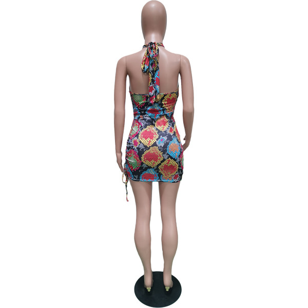 Sexy Halter Swimsuit Elastic Band Dress BN150