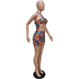 Sexy two-wear swimsuit elastic band dress BN162
