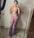 Sexy printed swimsuit mesh three-piece suit (including panties) BN163
