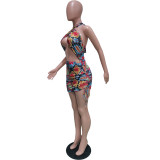 Sexy Halter Swimsuit Elastic Band Dress BN150