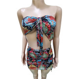Sexy two-wear swimsuit elastic band dress BN162