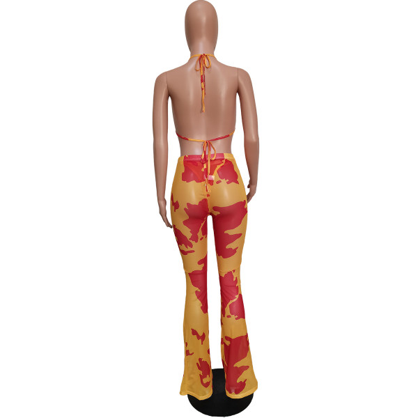 Sexy printed swimsuit mesh three-piece suit (including panties) BN163