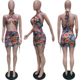Sexy Halter Swimsuit Elastic Band Dress BN150