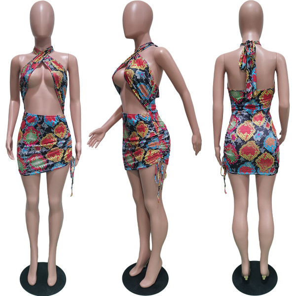 Sexy Halter Swimsuit Elastic Band Dress BN150
