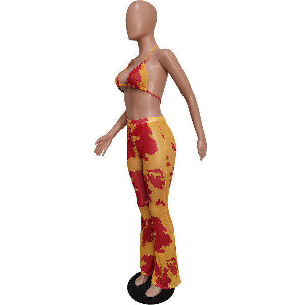 Sexy printed swimsuit mesh three-piece suit (including panties) BN163