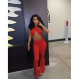 Sexy trouser suit open back fashion solid color trouser suit D8106