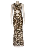 Stretch snake print leopard print dress AJ4344