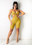 Oversized women's net yarn flocking pattern bodysuit one-piece pants AJ4334