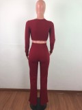 Pit striped long-sleeved top + wide-leg pants suit two-piece QJ5307