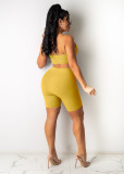 Oversized women's net yarn flocking pattern bodysuit one-piece pants AJ4334