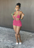 Simple and fashionable solid color halterneck bikini two-piece suit DY1062