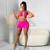 Simple and fashionable pure color halter neck double-sided burnt flowers tied rope bikini two-piece set DY1082