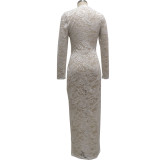 Sexy fashion high stretch lace women's dress SMR10087