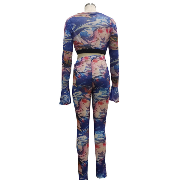 Fashion net yarn printing splicing suit two-piece suit SMR10141