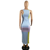 Summer new vest printed striped dress p8604