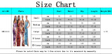 Fashion digital printing women's dress SMR10123