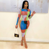 Fashion printed long-sleeved mesh dress S90073