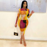 Fashion printed long-sleeved mesh dress S90073