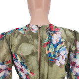Pleated technology sexy big V-neck print dress A132