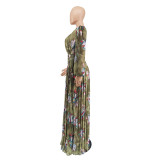 Pleated technology sexy big V-neck print dress A132