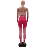 Fashion casual positioning printing stitching tube top strap jumpsuit HM6505