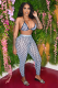 2-piece set of printed sexy swimsuit bikini A8882