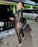 Sexy see-through mesh print one shoulder sleeve two-piece suit DM8181