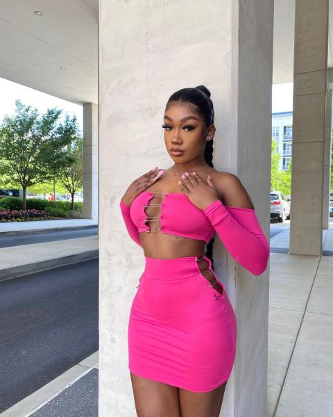 Women's fashion pin sexy two-piece dress YT3282