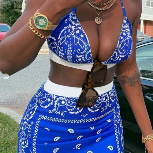 Two-piece sexy swimsuit short skirt two-piece printed short skirt FFD1116