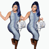 Sexy printed dress plus size women's clothing FFD1120
