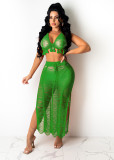 Women's sexy see-through fringed knitted beach skirt cover Z0104