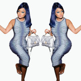 Sexy printed dress plus size women's clothing FFD1120