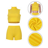 Thread pit strip high neck small lotus leaf dense edge fashion slim sexy 2 piece set SZ8116