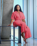 Temperament commuting, solid color wide-legged leisure two-piece suit PQ8656