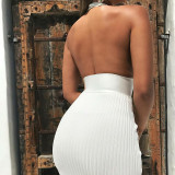 Halter Deep V-neck Open Back Fashion Skinny Hollow Dress FD8133