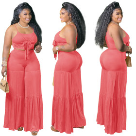 Sexy sling pleated wide-leg pants two-piece suit Q21Y858