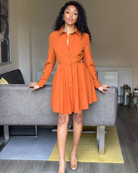 Women's shirt dress long-sleeved solid color slim fit 2021 autumn new AL177