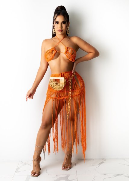 Women's knitted mesh sexy tube top fringed beach dress two-piece suit TS1165