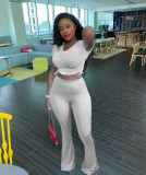 Solid color pleated top and big flared trousers two-piece suit LM8277