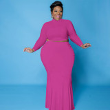 Autumn sexy waistless skirt solid color two-piece suit PH13243
