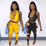 Two-piece solid color cross sexy hollow halter vest hole pants QM7035