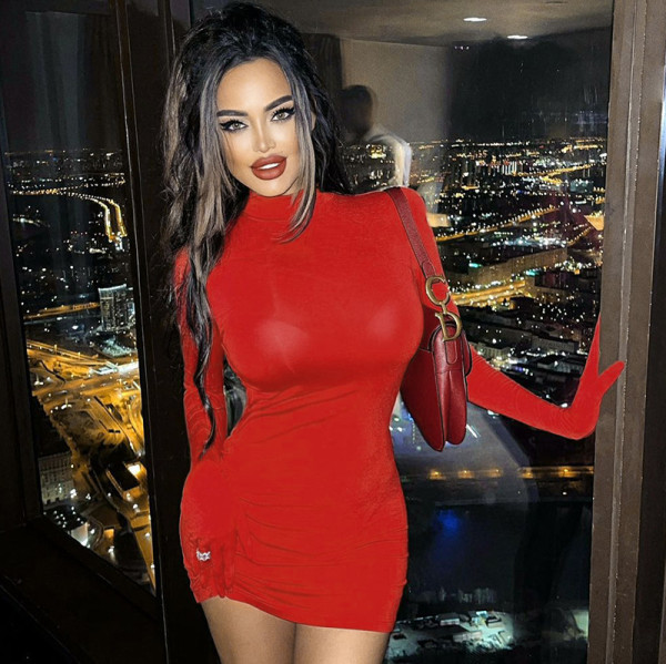 Women's Fall 2021 New Pure Color High Neck Long Sleeve Gloves Short Hip Dress M21DS509